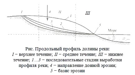 Донная эрозия