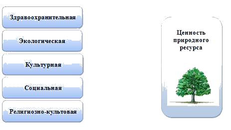 Экологическая ценность природного объекта. Природные ценности примеры. Здравоохранительные природные ресурсы. Социальная экология и религией. Социальное измерение экологическое измерение.